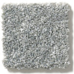 Floor Carpet - Concrete
